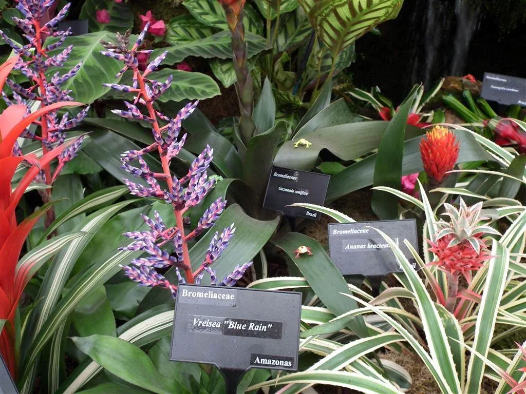 Floral marquee in the long water area 26